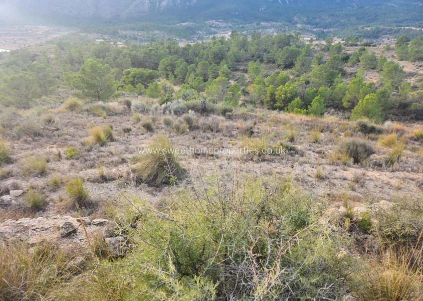 Herverkoop - Plot - La Romana - A diez minutos