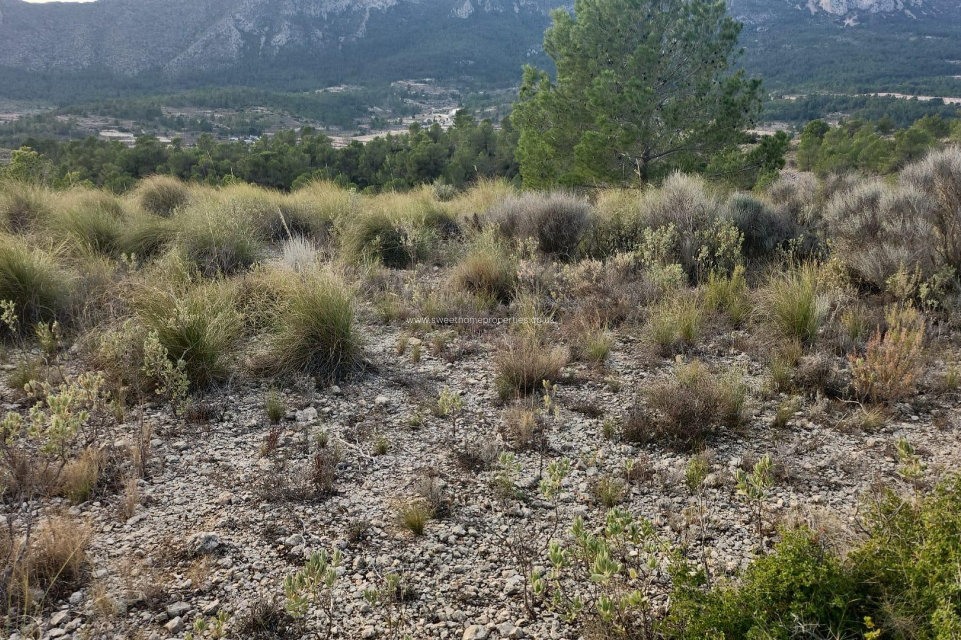 Herverkoop - Plot - La Romana - A diez minutos