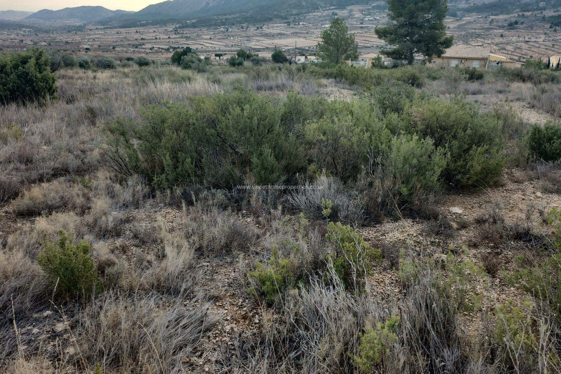 Herverkoop - Plot - La Romana - A diez minutos