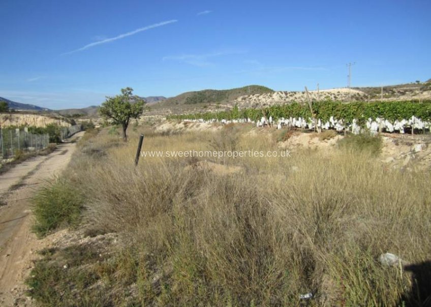Herverkoop - Plot - La Romana - BOQUERA