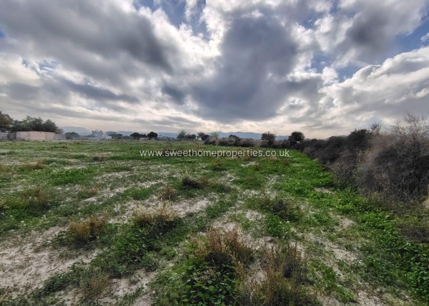 Herverkoop - Plot - La Romana - campo