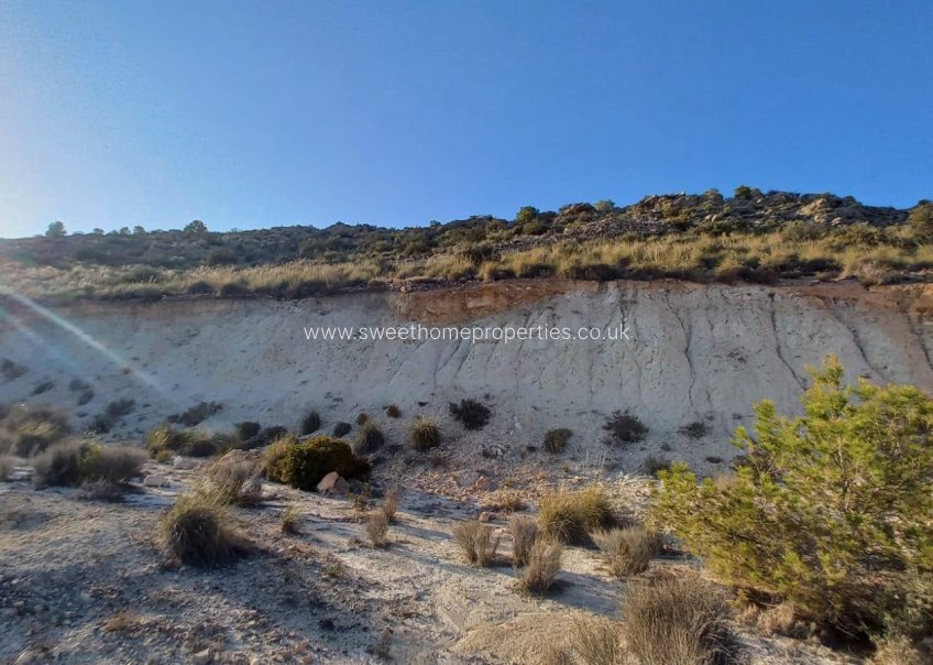 Herverkoop - Plot - La Romana - Comunidad valenciana