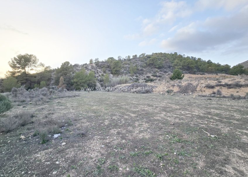 Herverkoop - Plot - La Romana - Comunidad valenciana