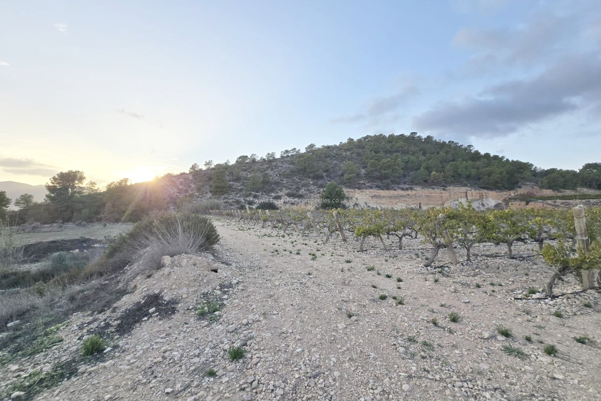 Herverkoop - Plot - La Romana - Comunidad valenciana