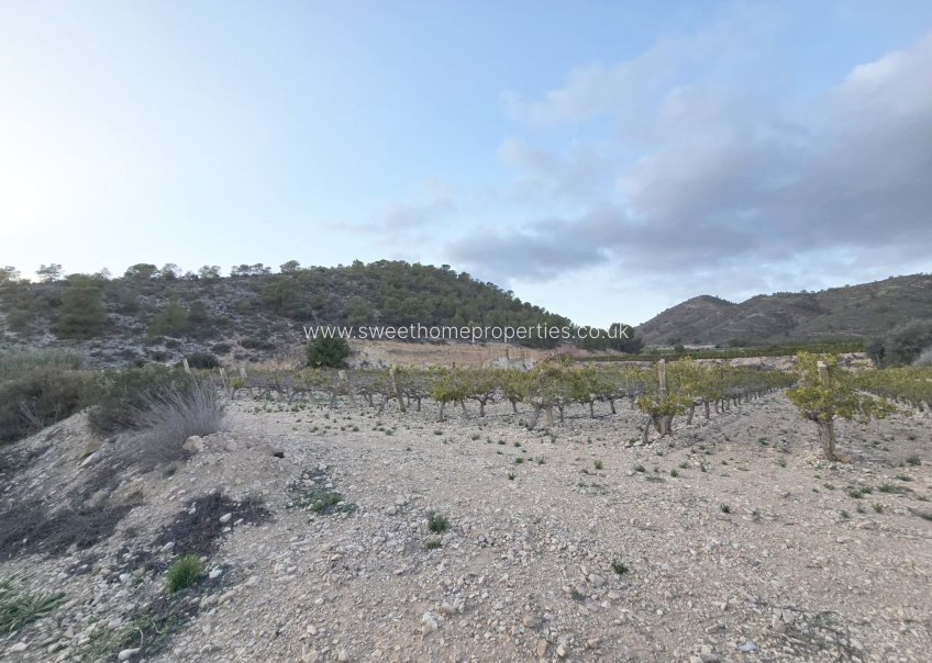 Herverkoop - Plot - La Romana - Comunidad valenciana