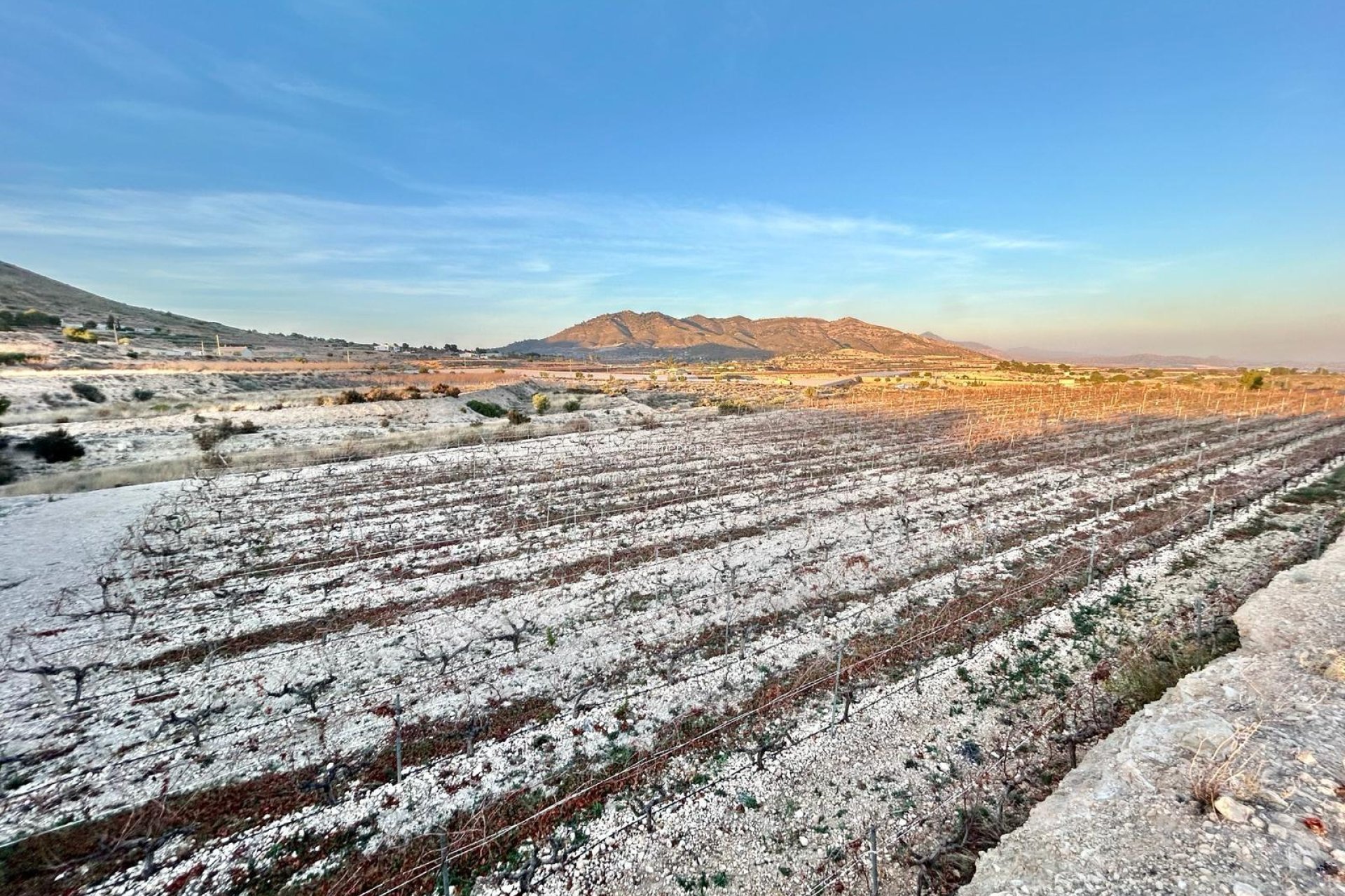 Herverkoop - Plot - La Romana - Los joveres
