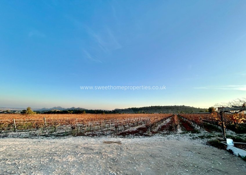 Herverkoop - Plot - La Romana - Los joveres