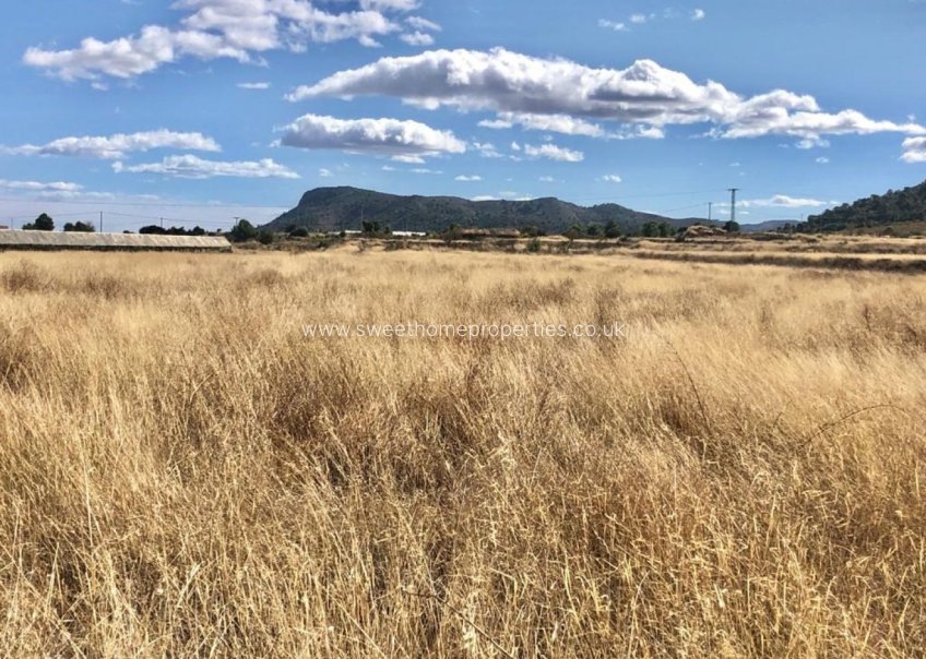 Herverkoop - Plot - La Romana - LOS PALAOS