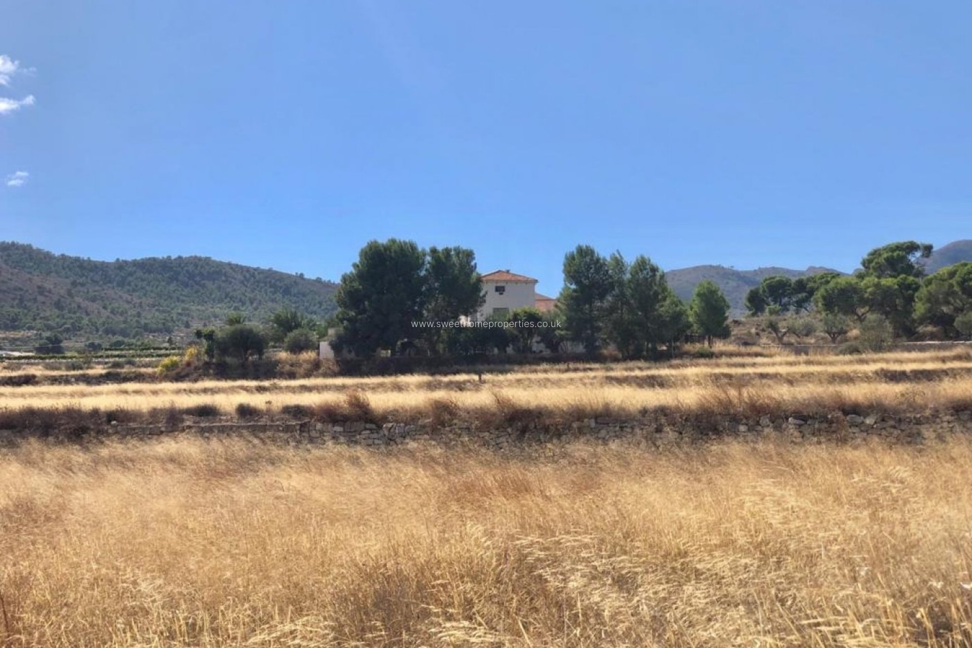 Herverkoop - Plot - La Romana - LOS PALAOS