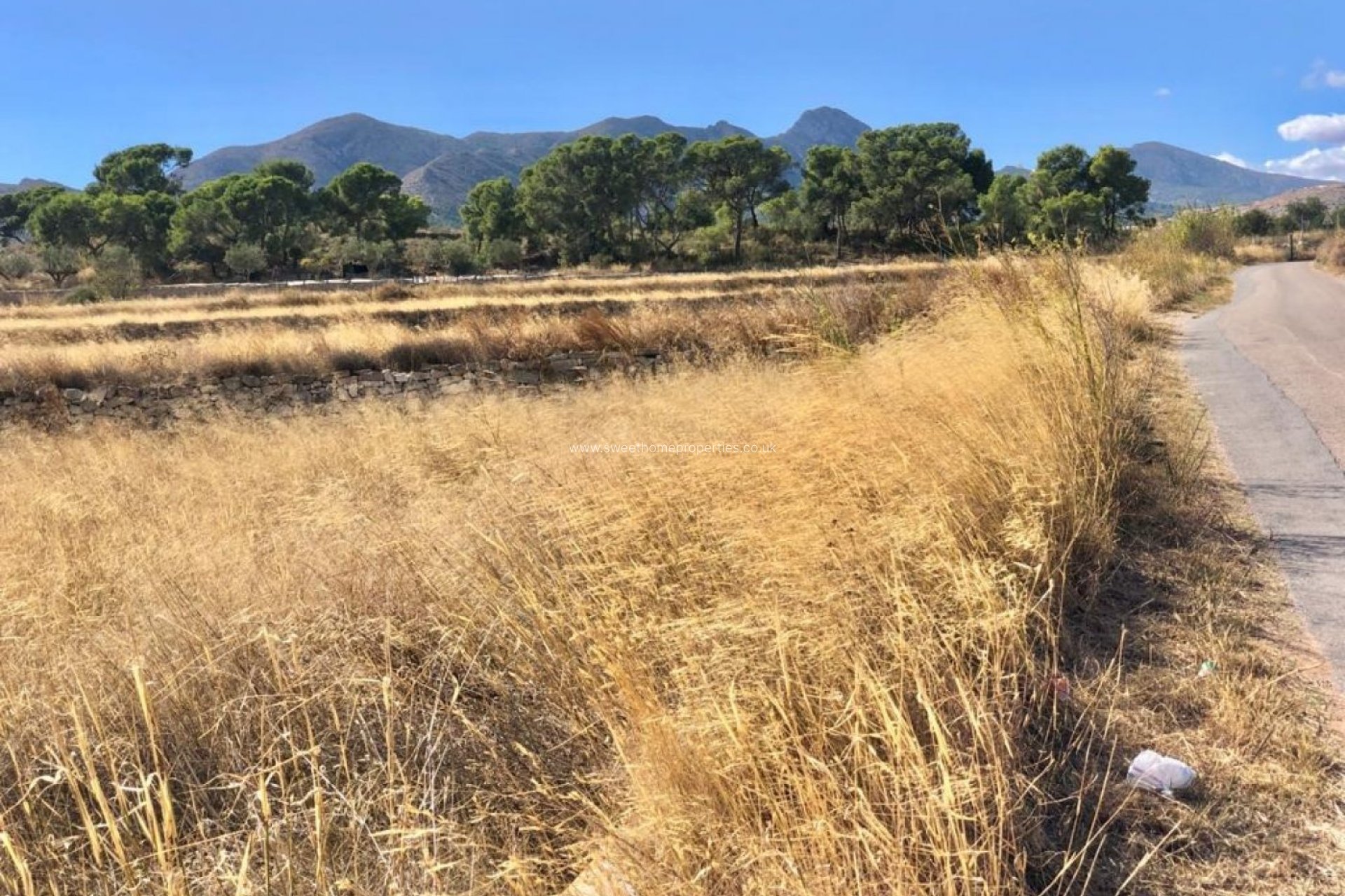 Herverkoop - Plot - La Romana - LOS PALAOS