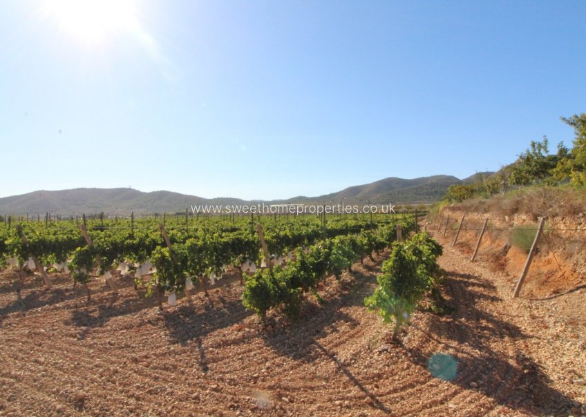 Herverkoop - Plot - La Romana - PARTIDA DE LA BOQUERA