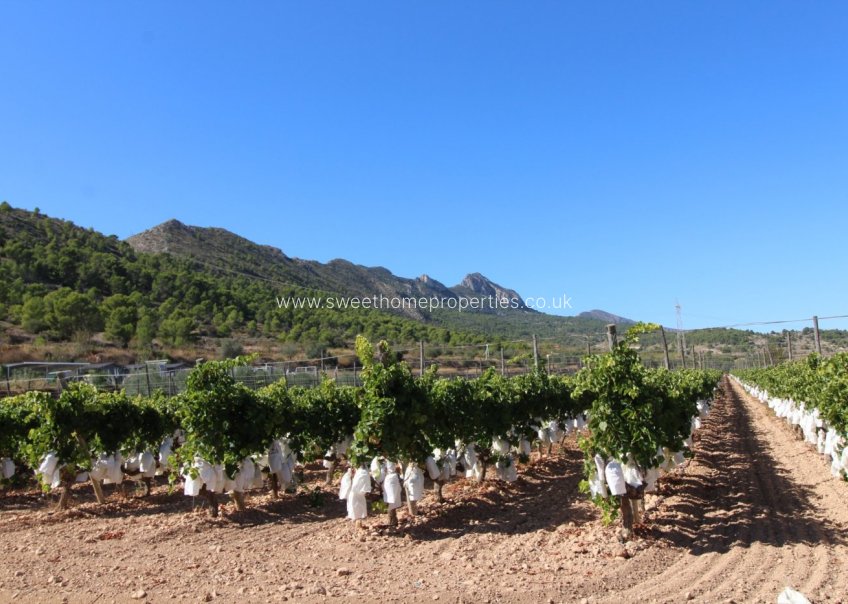 Herverkoop - Plot - La Romana - PARTIDA DE LA BOQUERA