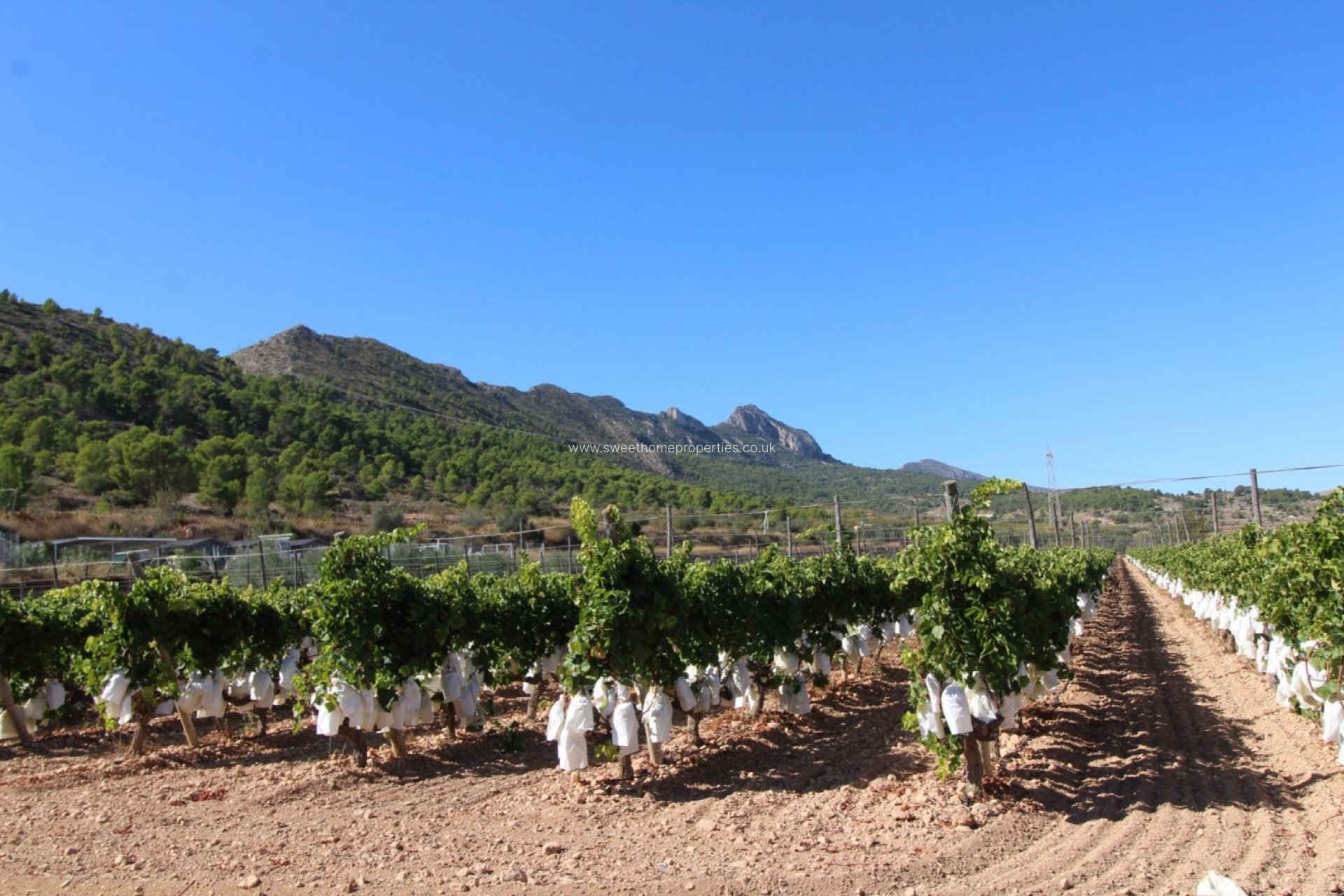 Herverkoop - Plot - La Romana - PARTIDA DE LA BOQUERA