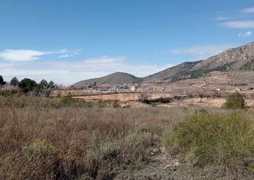 Herverkoop - Plot - La Romana