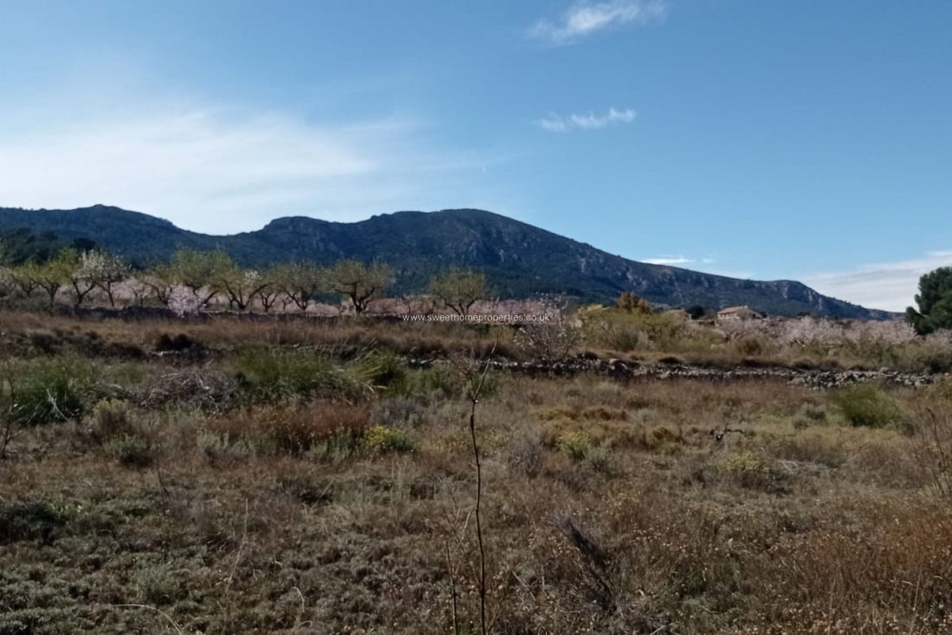 Herverkoop - Plot - La Romana