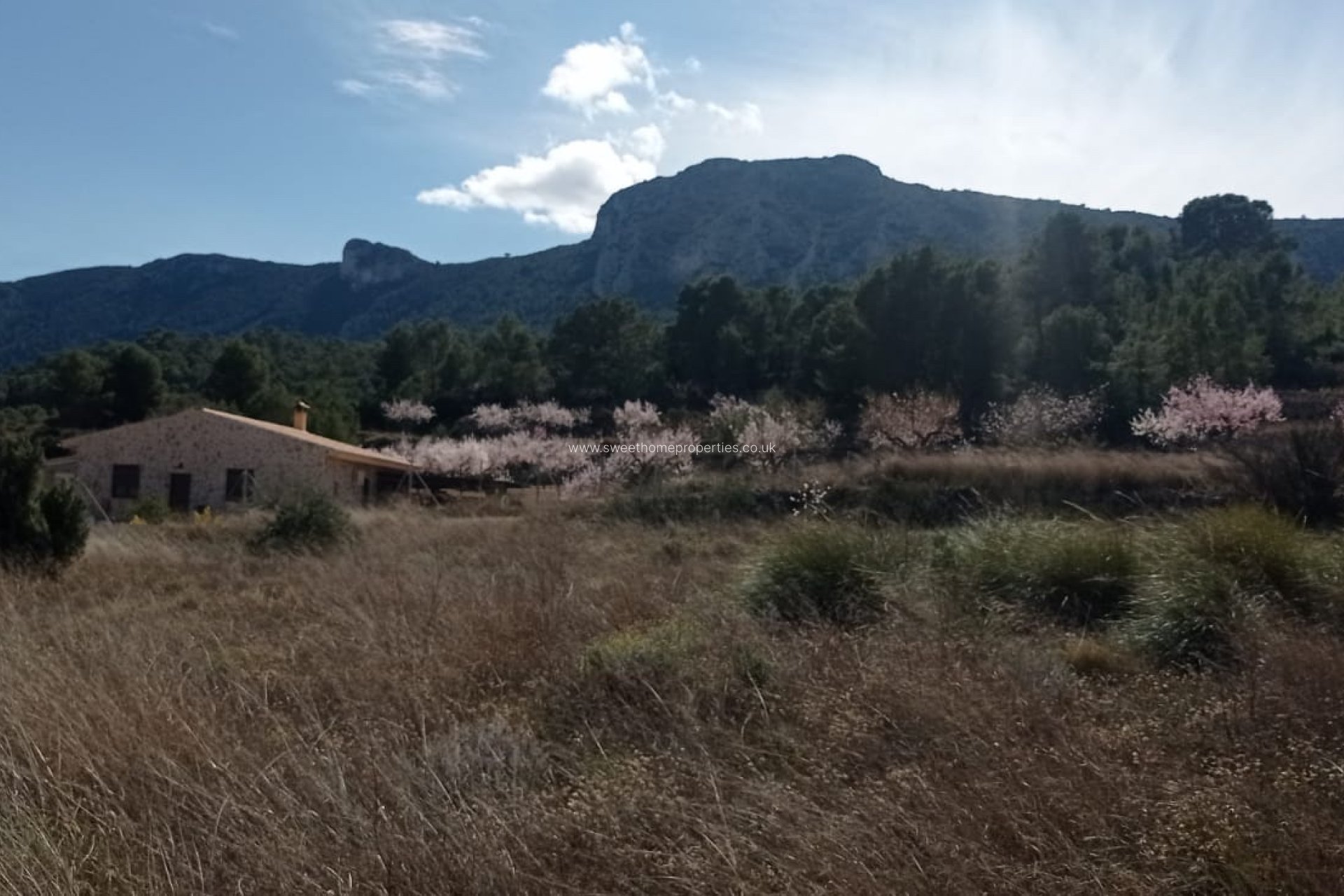 Herverkoop - Plot - La Romana