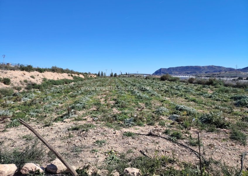 Herverkoop - Plot - Monforte del Cid - Comunidad valenciana