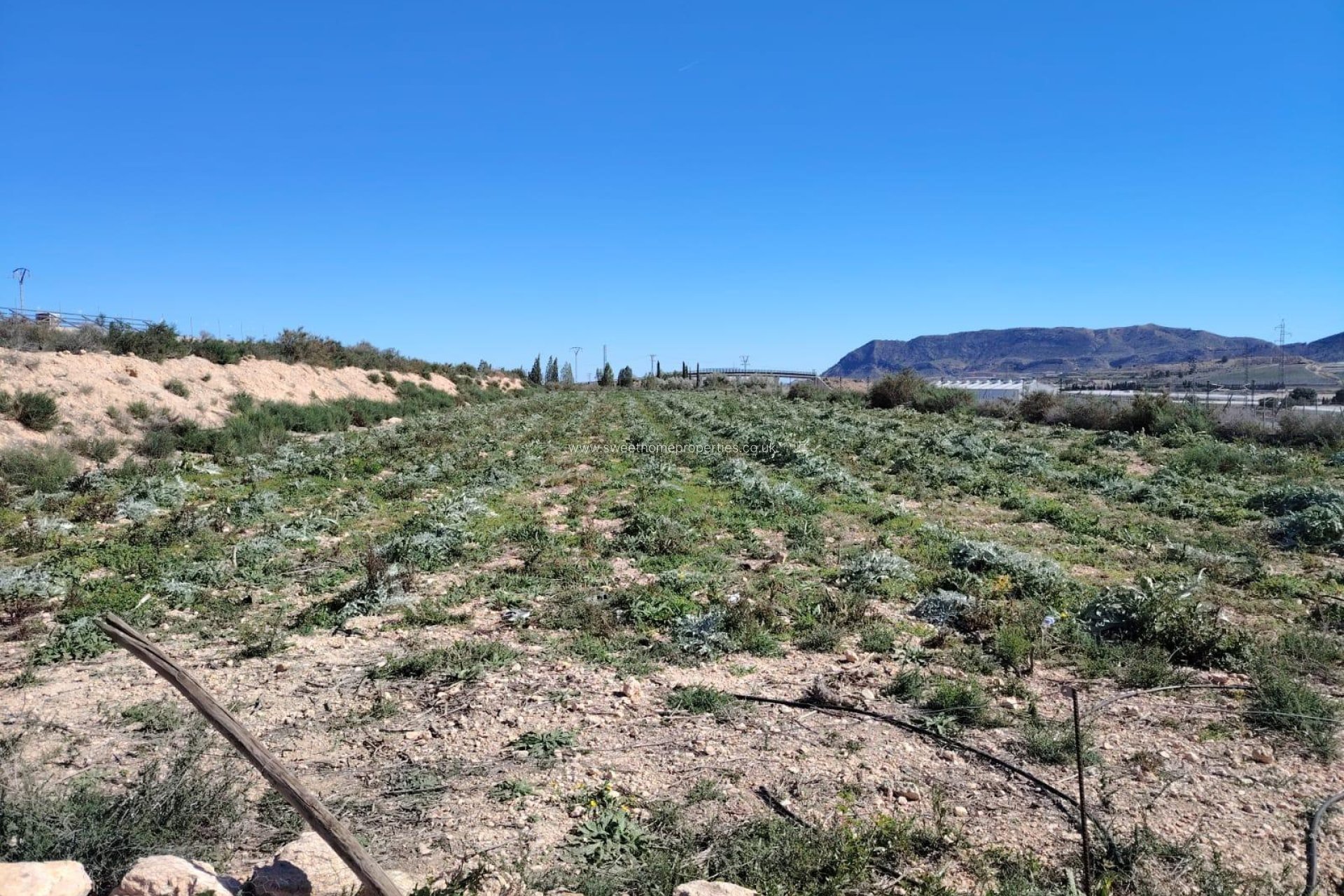 Herverkoop - Plot - Monforte del Cid - Comunidad valenciana