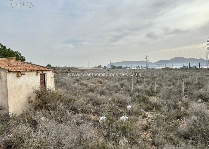 Herverkoop - Plot - Monforte del Cid - GABARRERA