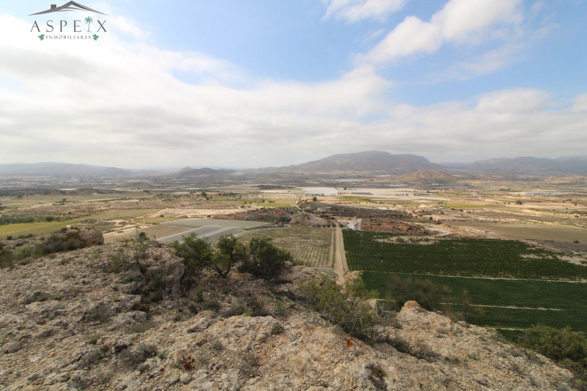 Herverkoop - Plot - Monforte del Cid - Orito