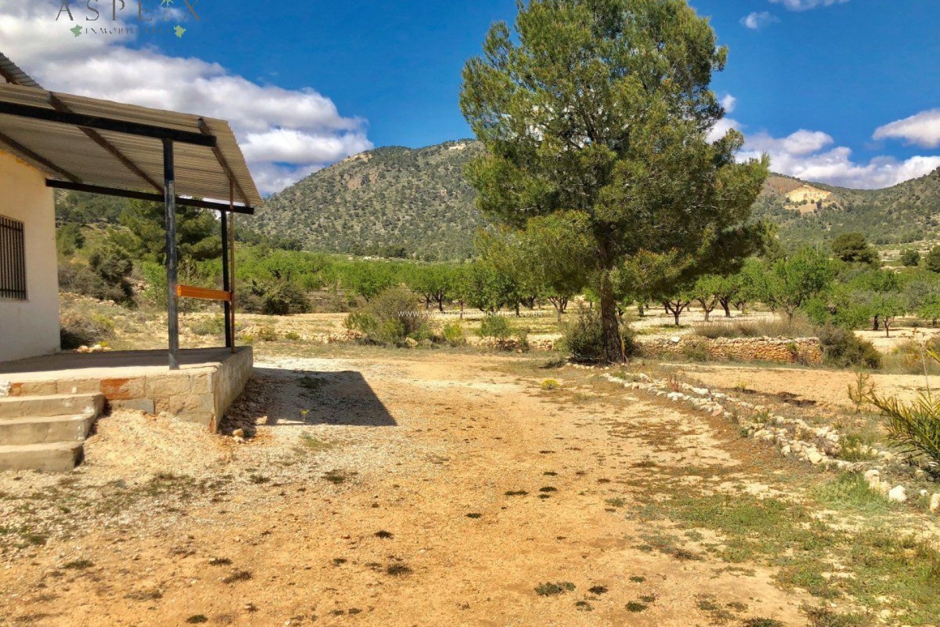 Herverkoop - Plot - Monovar - LA ROMANETA