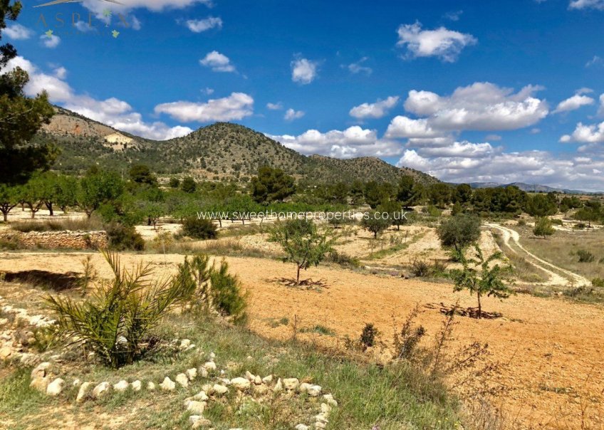 Herverkoop - Plot - Monovar - LA ROMANETA