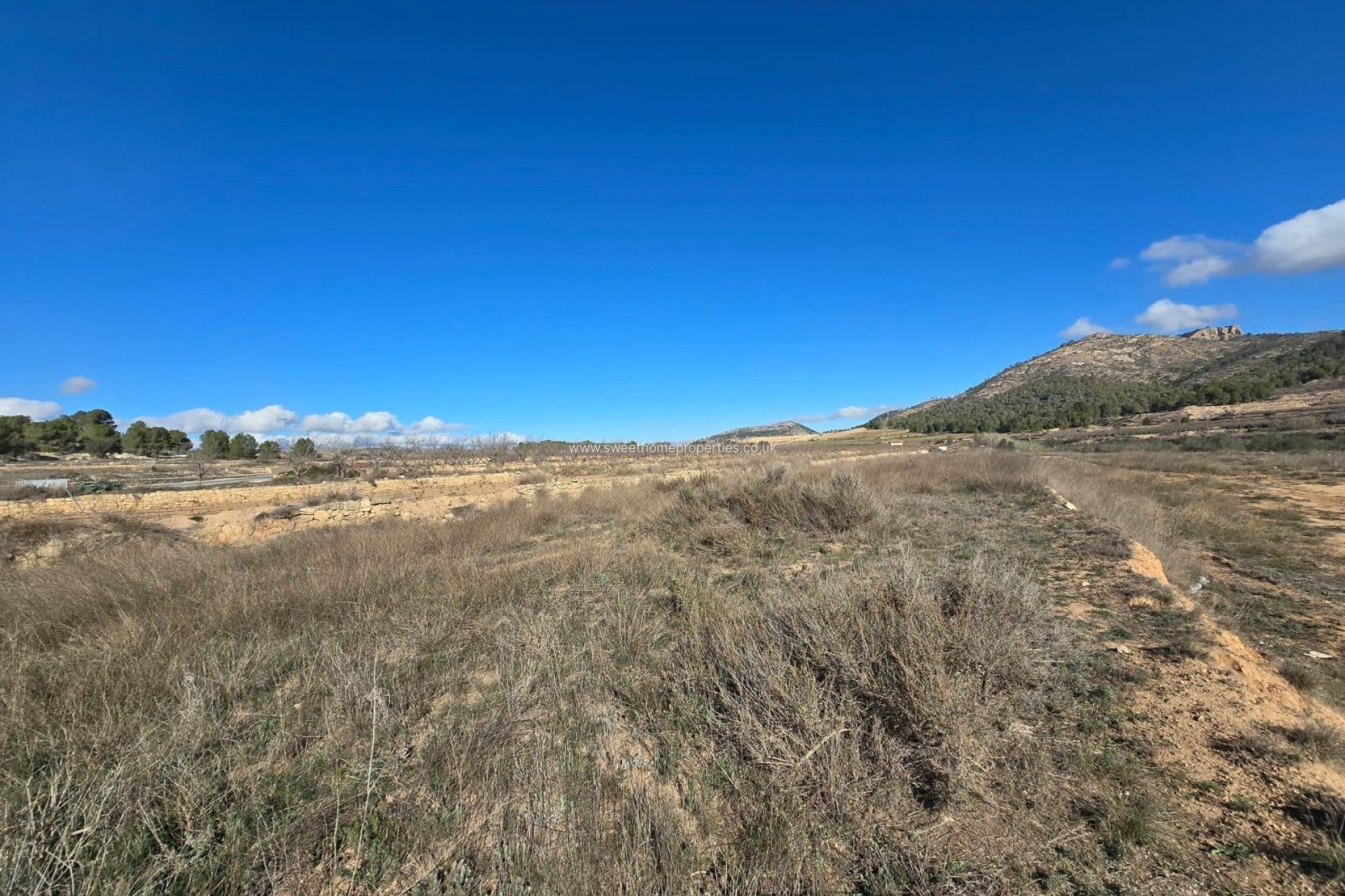 Herverkoop - Plot - Monovar - LA ROMANETA