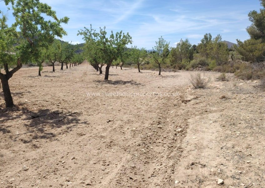 Herverkoop - Plot - Monovar - MADARA