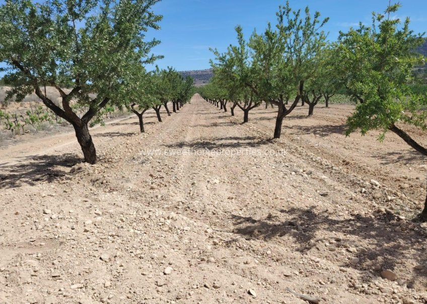 Herverkoop - Plot - Monovar - MADARA