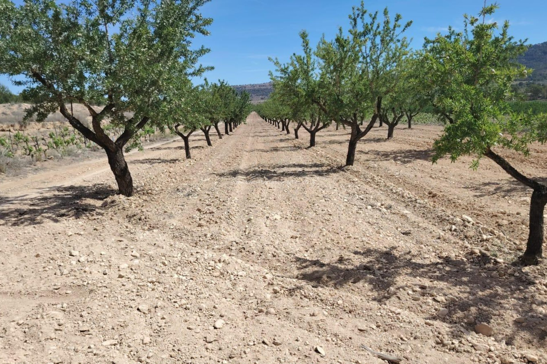 Herverkoop - Plot - Monovar - MADARA