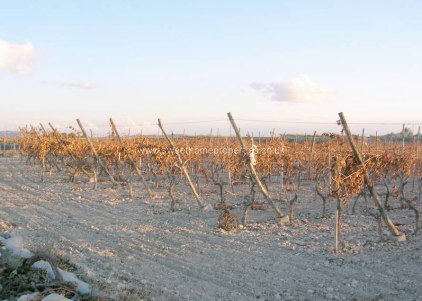 Herverkoop - Plot - Novelda - BETIES