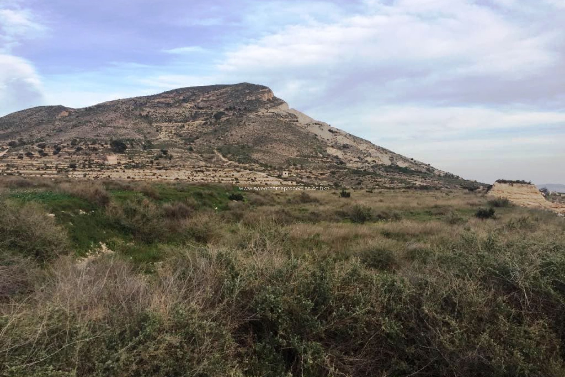 Herverkoop - Plot - Novelda - BETIES