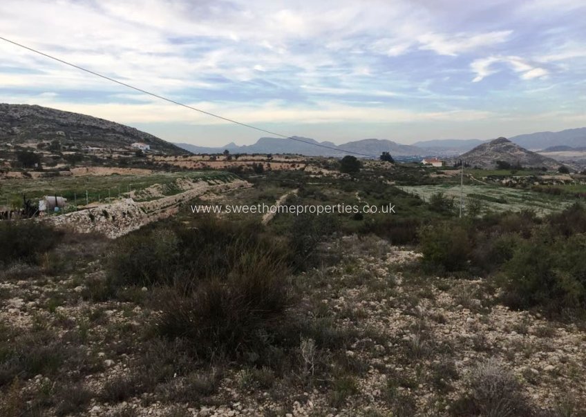 Herverkoop - Plot - Novelda - BETIES