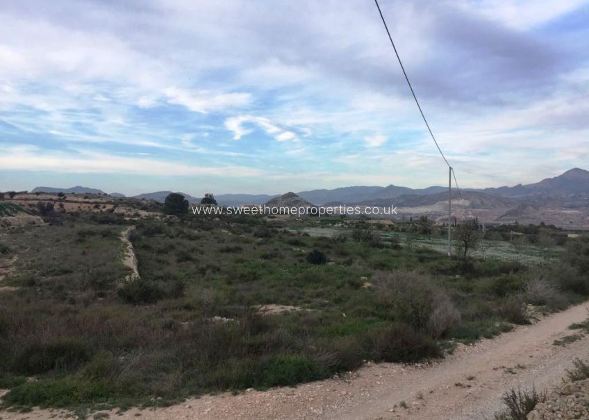 Herverkoop - Plot - Novelda - BETIES