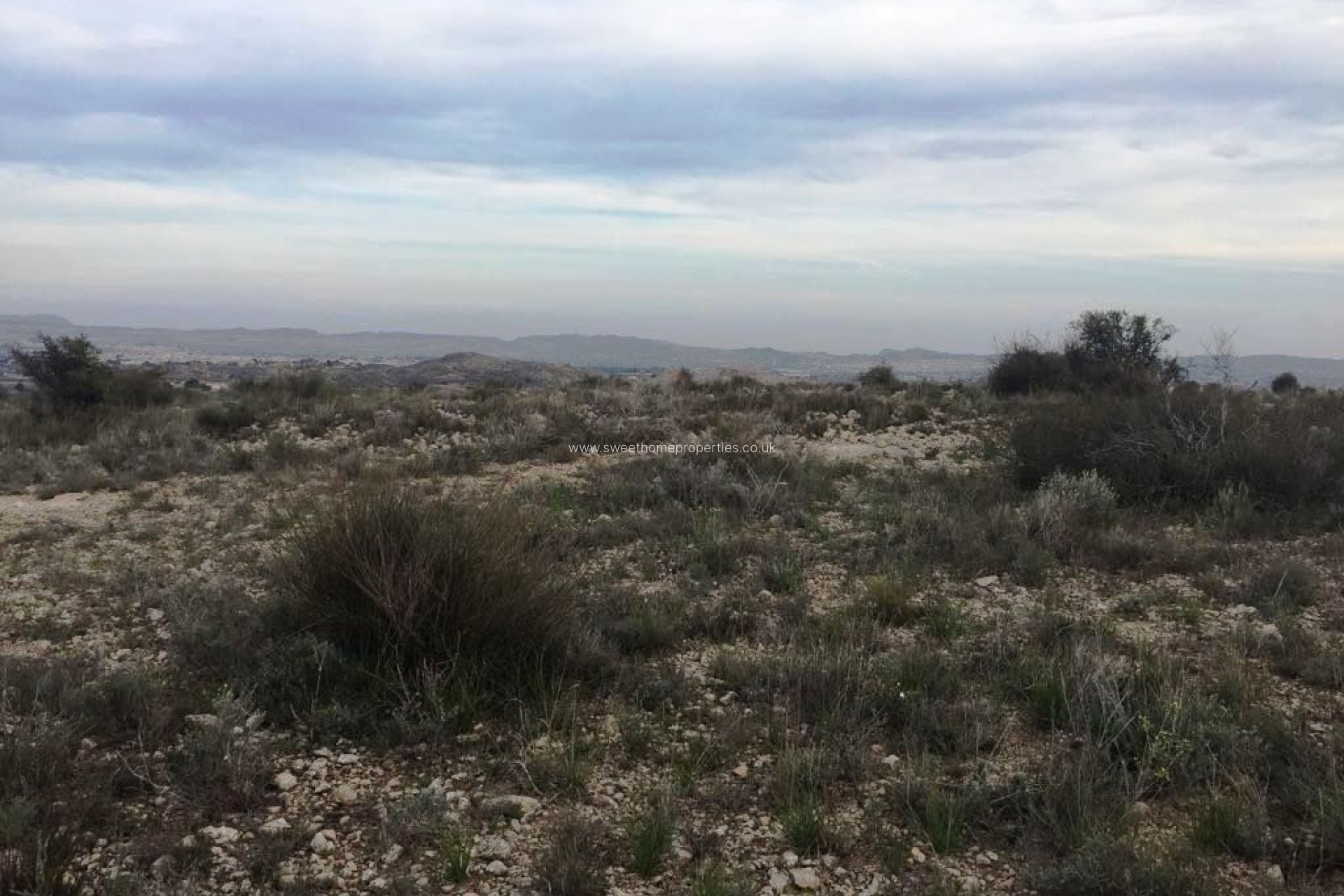 Herverkoop - Plot - Novelda - BETIES