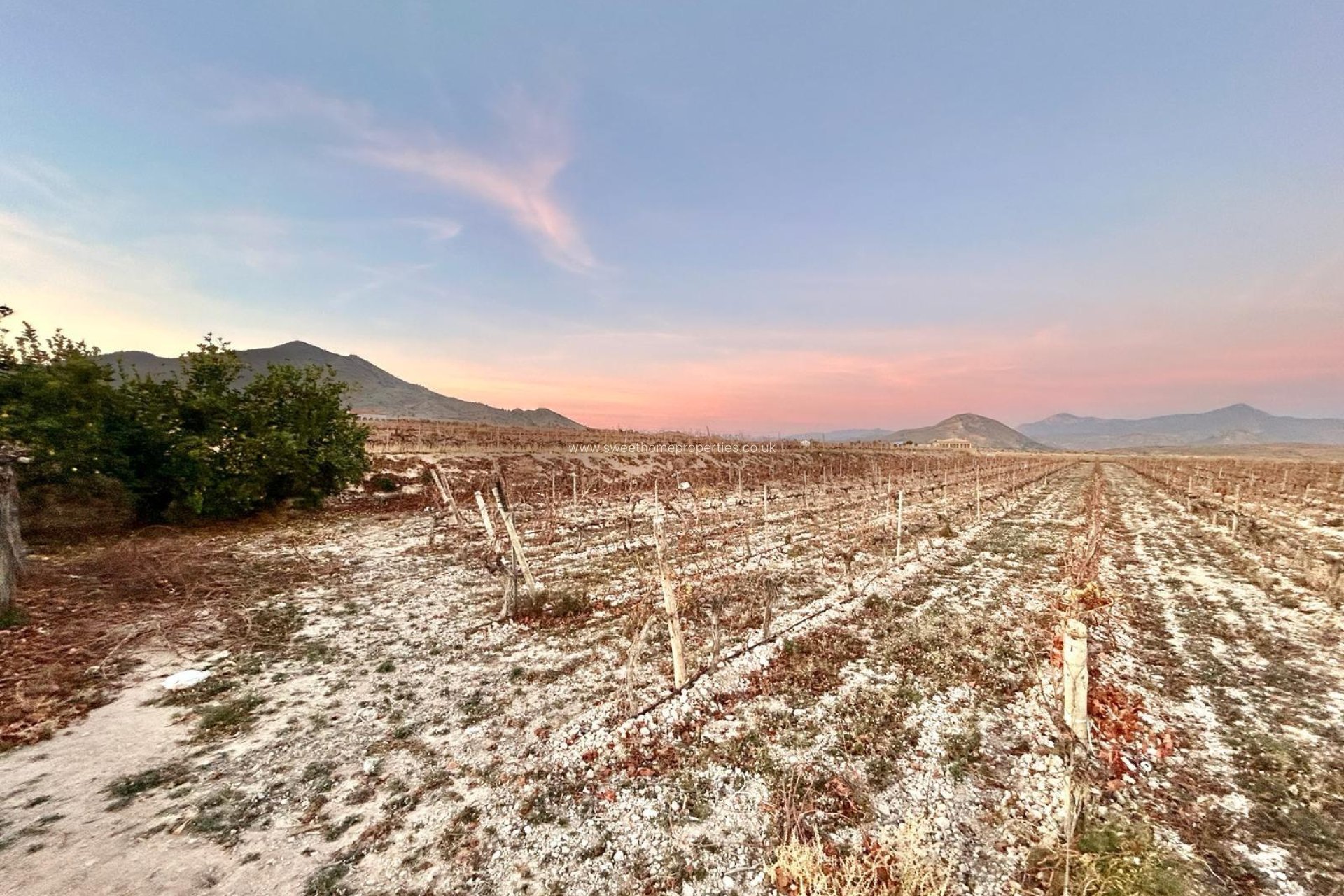 Herverkoop - Plot - Novelda - BETIES