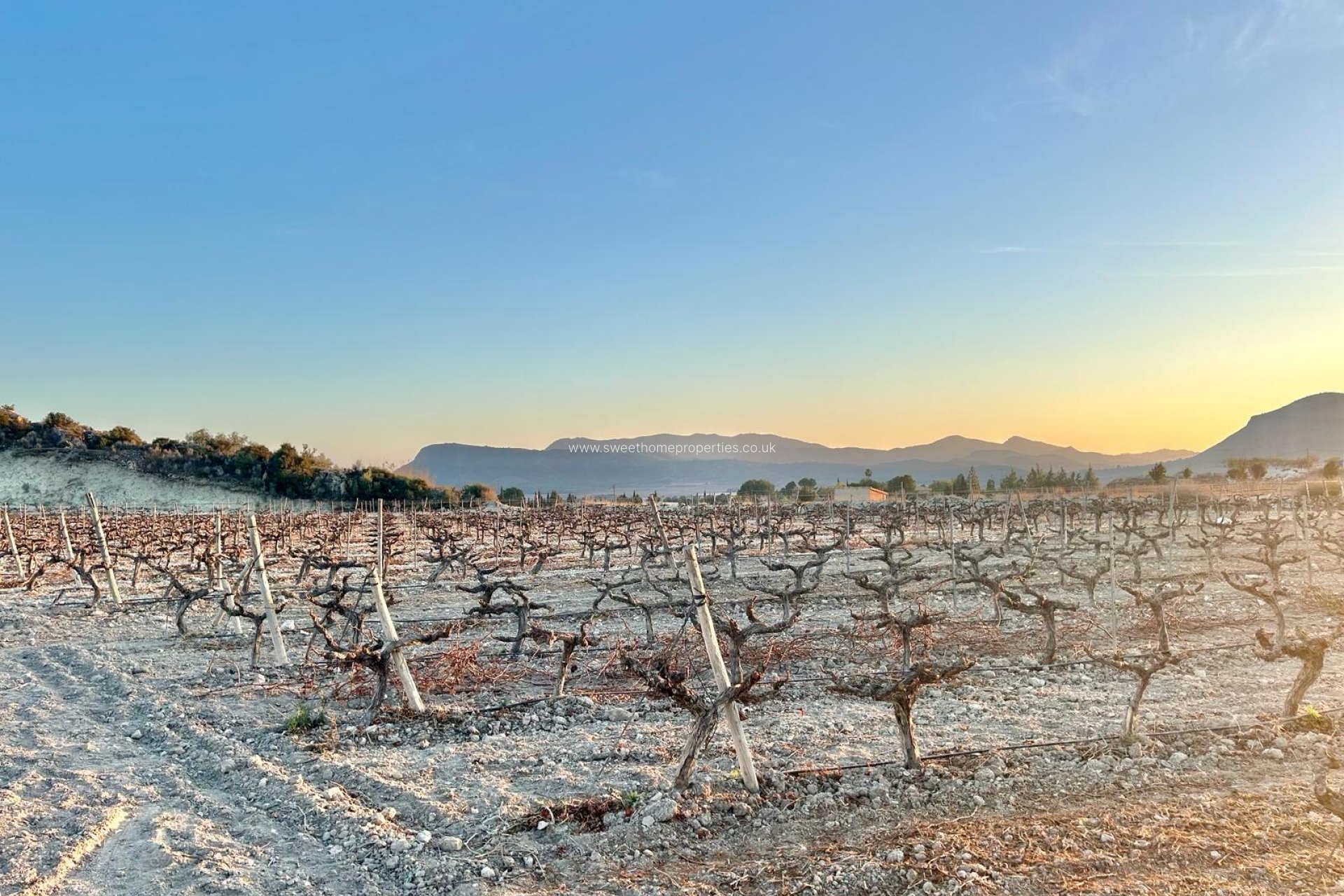 Herverkoop - Plot - Novelda - BETIES