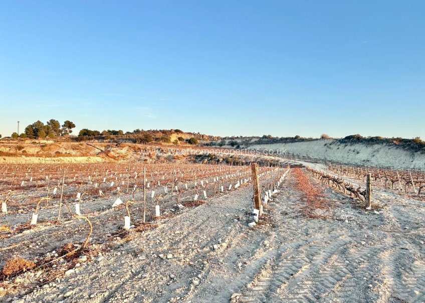 Herverkoop - Plot - Novelda - BETIES