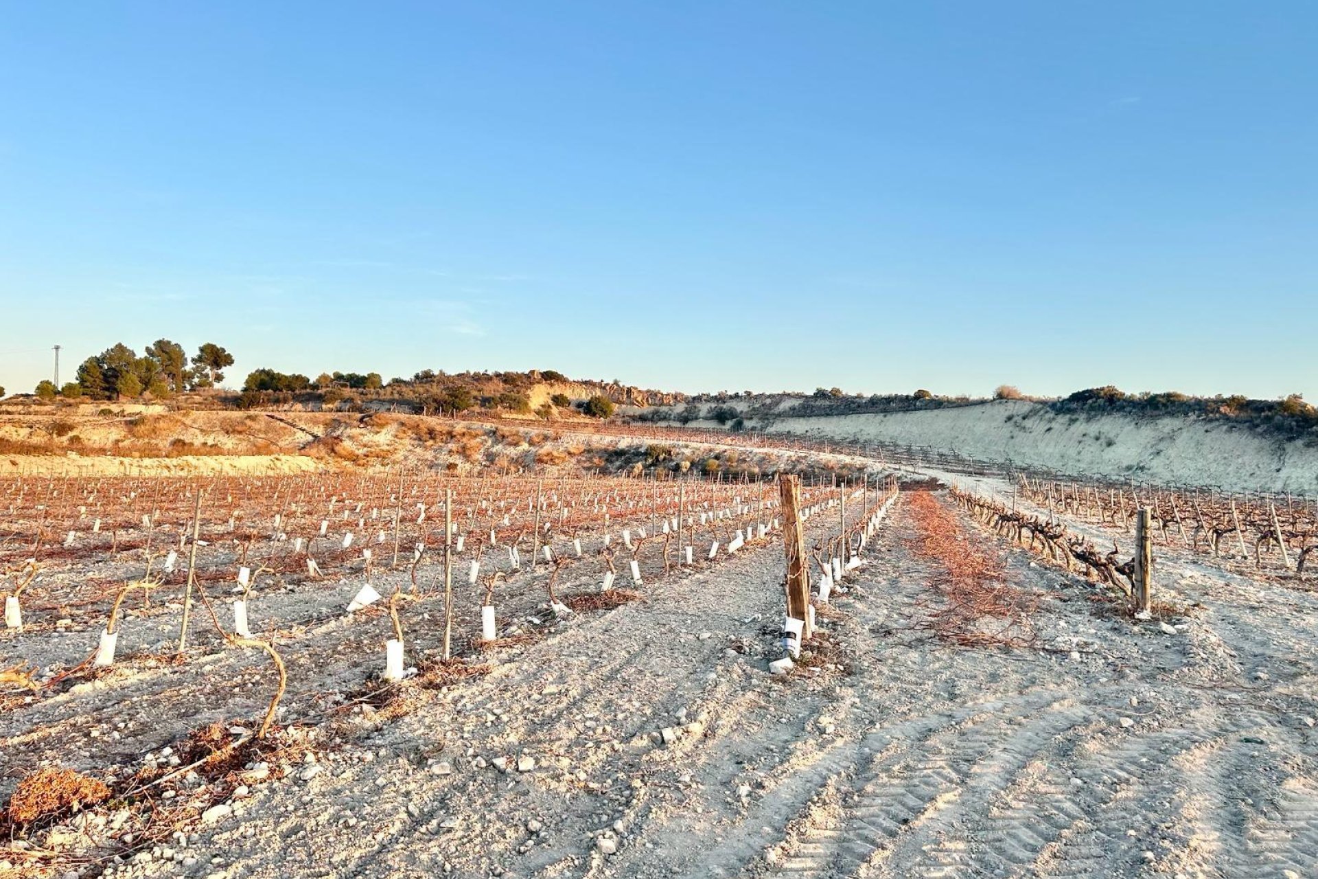 Herverkoop - Plot - Novelda - BETIES