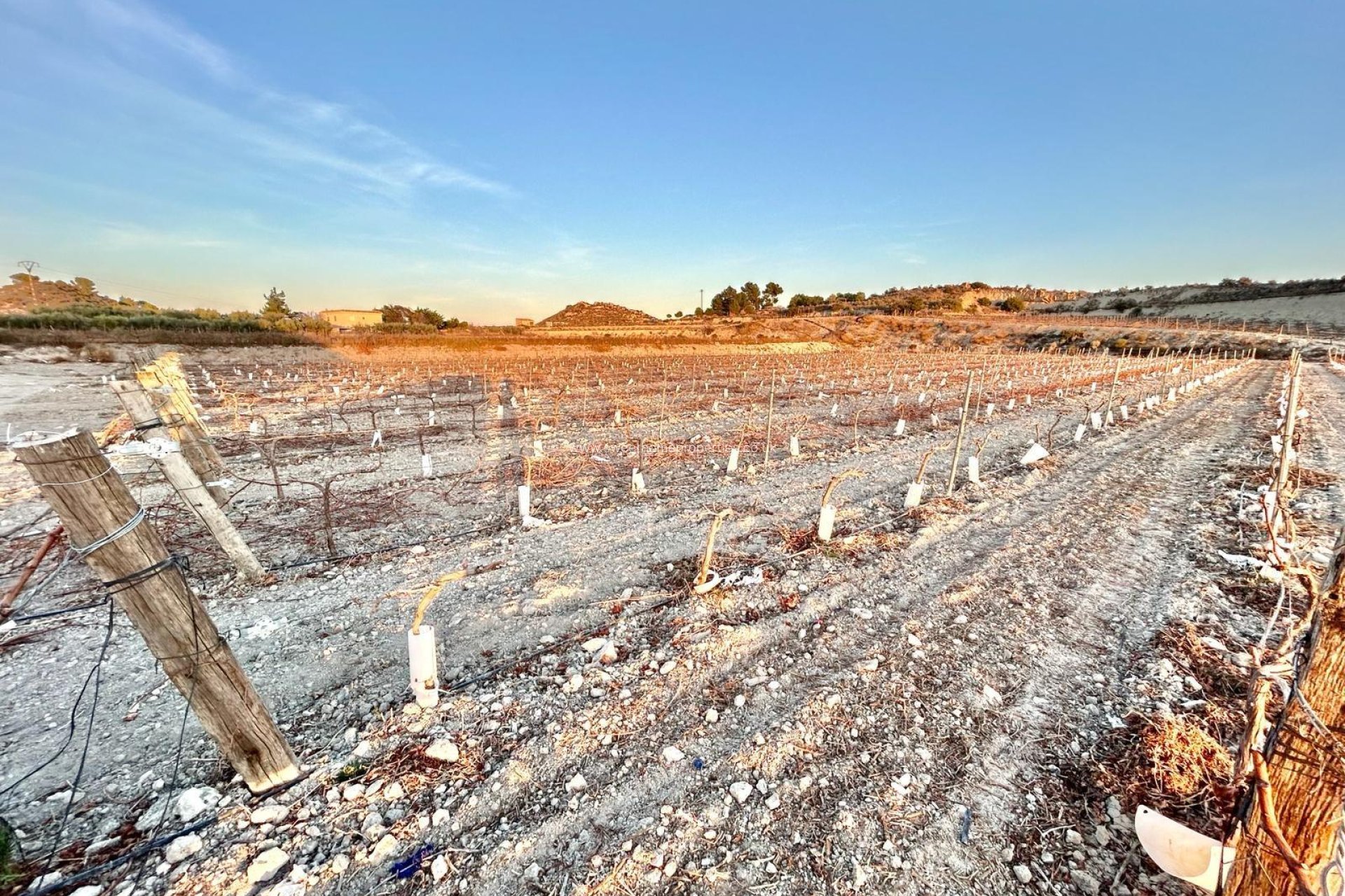 Herverkoop - Plot - Novelda - BETIES