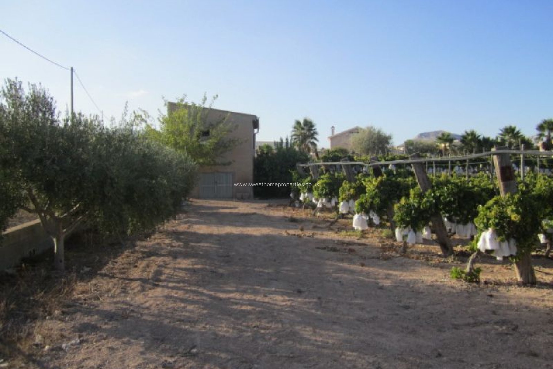 Herverkoop - Plot - Novelda - CASAS DE SALA