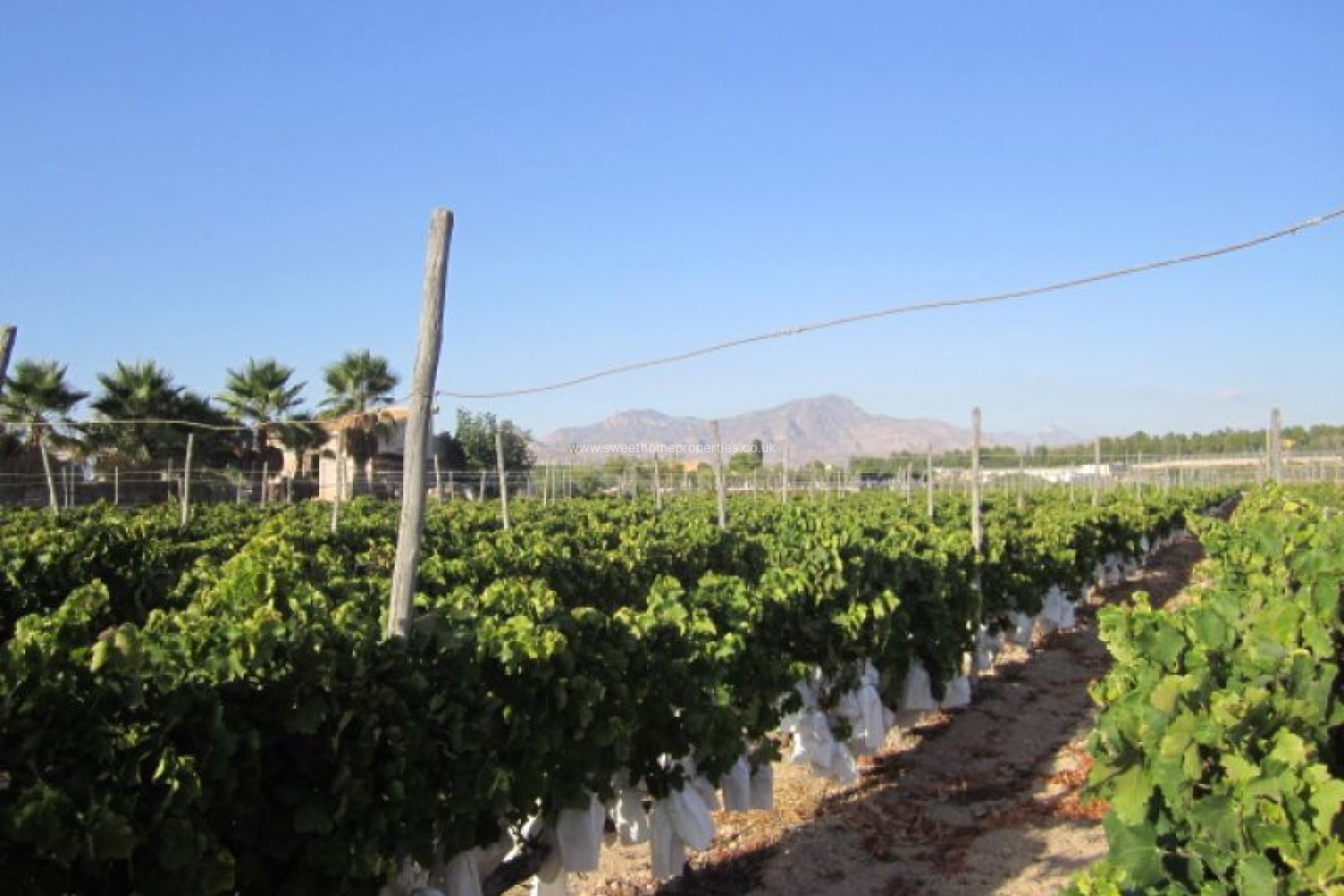 Herverkoop - Plot - Novelda - CASAS DE SALA