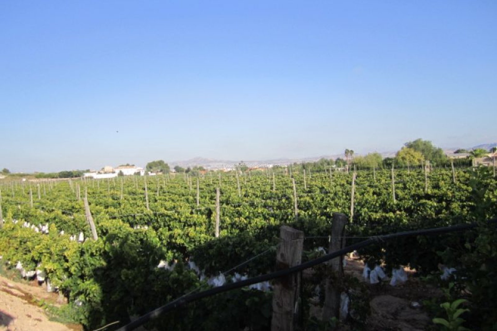 Herverkoop - Plot - Novelda - CASAS DE SALA