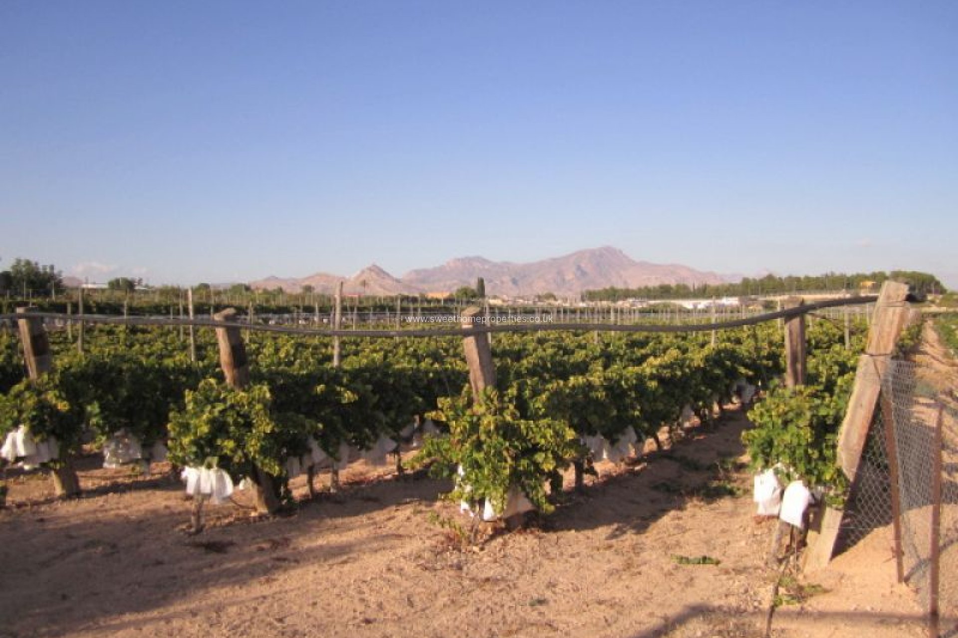 Herverkoop - Plot - Novelda - CASAS DE SALA