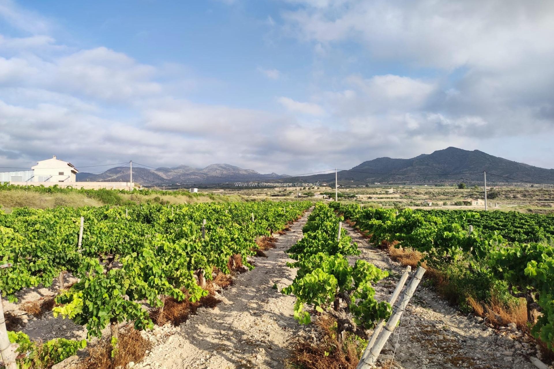 Herverkoop - Plot - Novelda - CENTRO