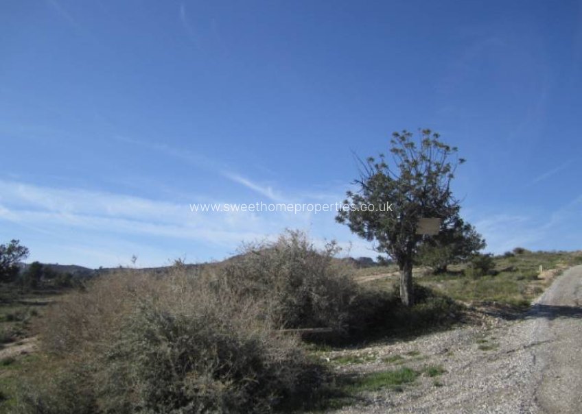 Herverkoop - Plot - Novelda - HORNA BAJA