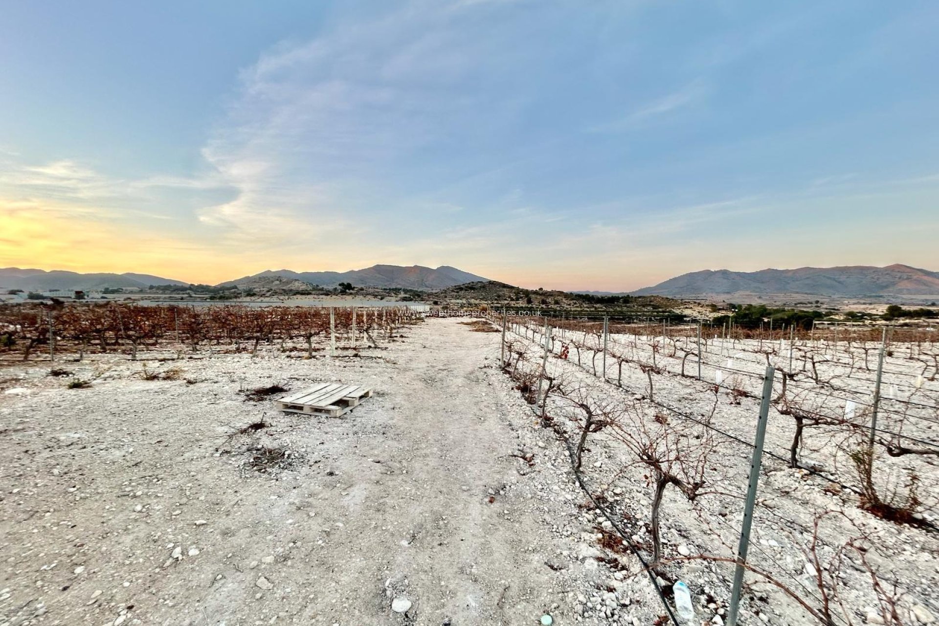 Herverkoop - Plot - Novelda - HORNA BAJA