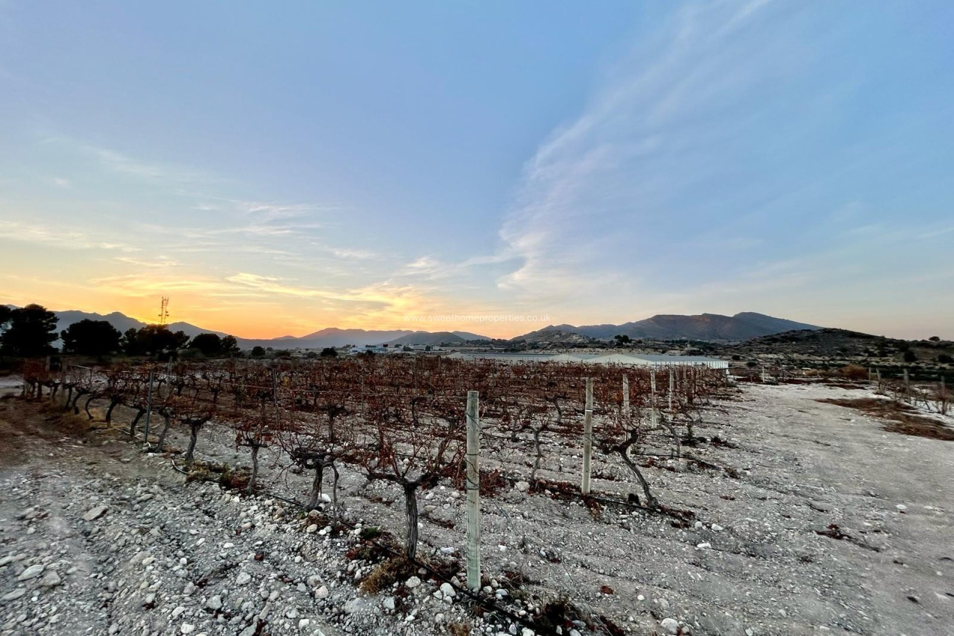 Herverkoop - Plot - Novelda - HORNA BAJA