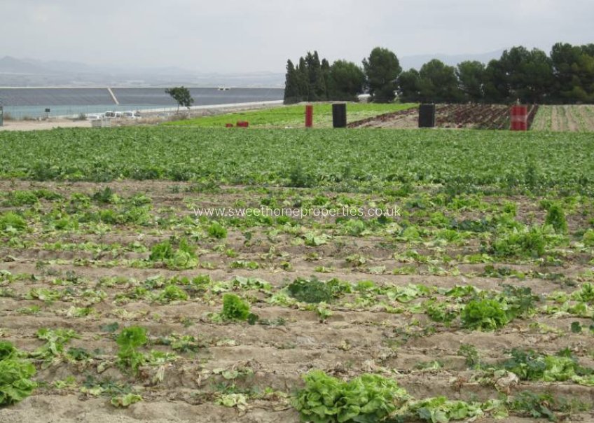 Herverkoop - Plot - Novelda - HORNA