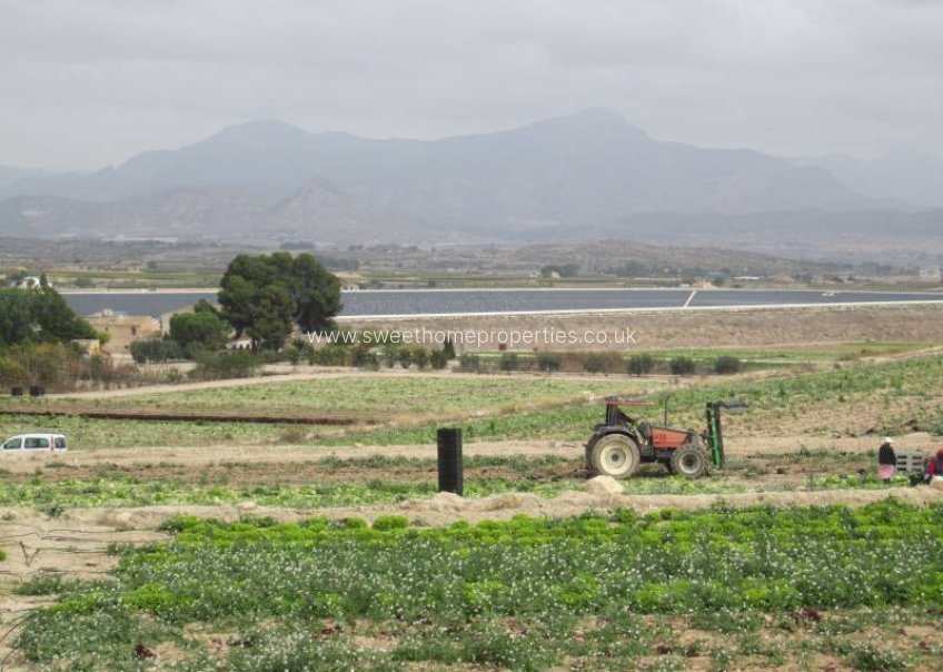 Herverkoop - Plot - Novelda - HORNA